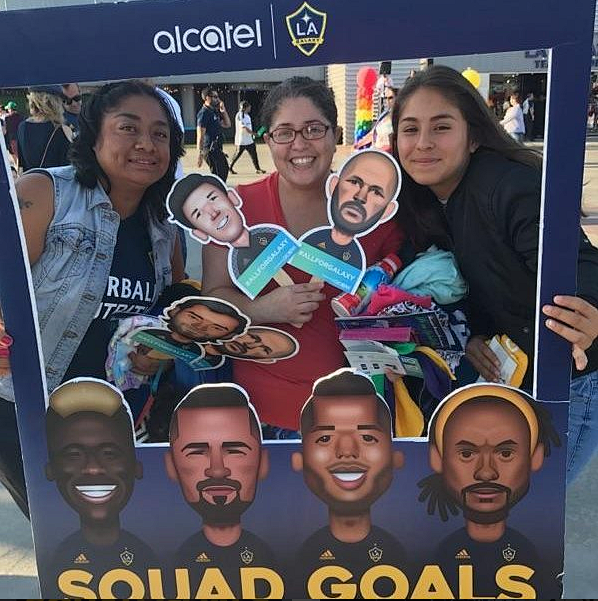 Alcatel x MLS