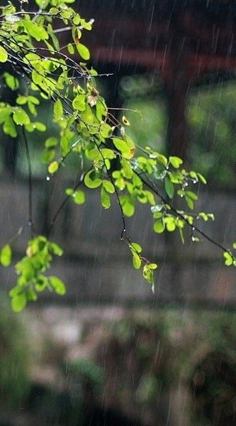 三分春色二分愁，更一分风雨。