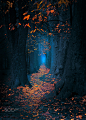 " Fairytale Pathway " by Mevludin Sejmenovic on 500px