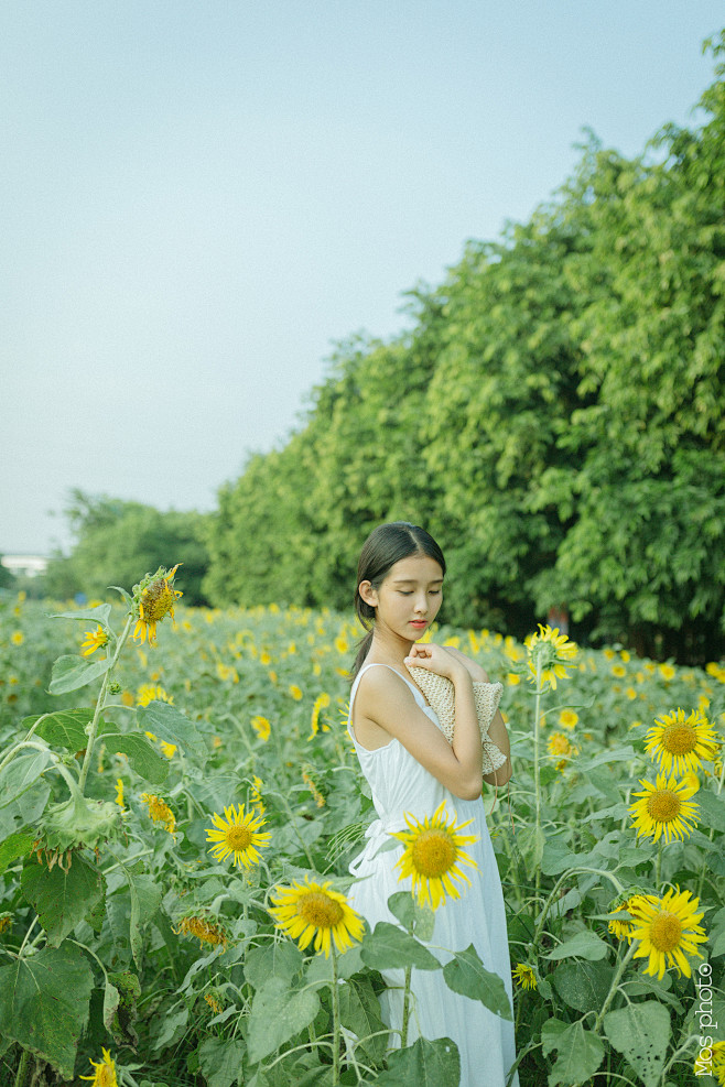 向阳的你_人像_POCO摄影,美女,日系...