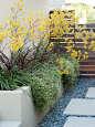 Outdoor Design Ideas, Remodels & Photos with a Retaining Wall