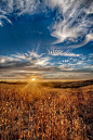 ✮ Golden Sunset over a field of grasses in wine country Temecula, California