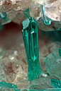 Dioptase crystal / Christmas Mine, Arizona