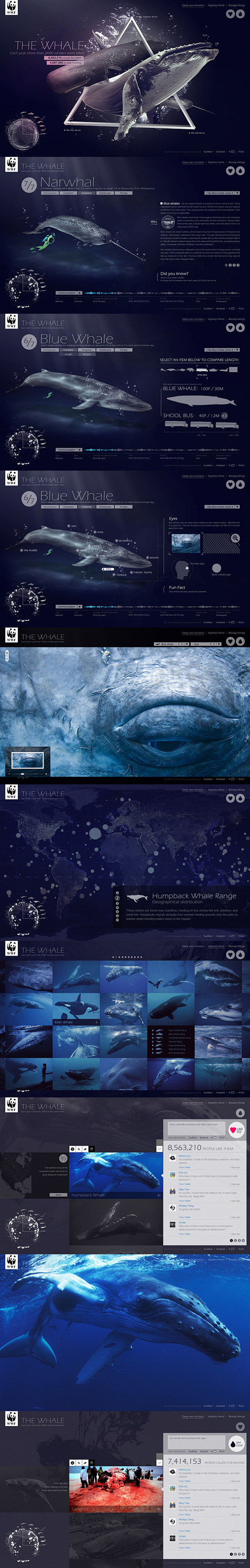 WWF_The-Whale