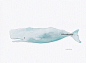 Lovely Pale Blue Whale -  Watercolor Painting - Art Print - Giclee Print Archival Art Print #采集大赛#