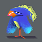 Tropical Birds : Tropical Bird character designs.