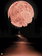 月。 #夜空# #摄影师# #美景#
