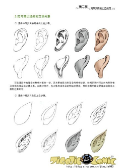 玩火尿炕采集到§R教学 —— 耳、鼻、口