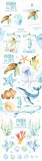 卡通水彩手绘水海洋生物水草海龟鲸鱼海星海马 PNG清新绘画素材-淘宝网