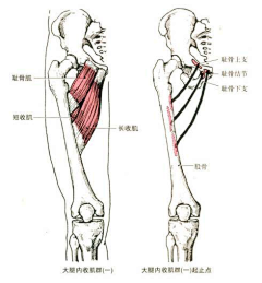 08ADC_OWN采集到教程