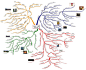 思维导图——思维整理术 – 腾讯CDC