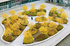 ¨緣°采集到植物素材