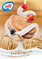 Panda Ice cream : Panda Products - Biscuity Ice Cream