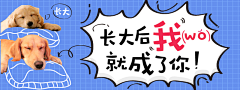 miss落絮采集到bannerB站