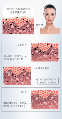 那些花花儿呀采集到黄褐斑