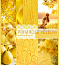 Модный цвет  PANTONE 2017 - 13-0755 Primrose Yellow / Желтая Примула, сезон лето-весна 2017: 