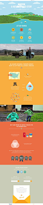 A Naturally-Aged Story Tillamook - Colorful and Inspiring Website