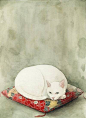 #设计视角# 来自日本插画师Midori Yamada笔下的猫。 ​​​​