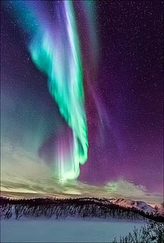 The northern lights,...