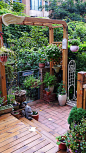 花园#庭院设计#花园景观#zoscape#花园庭院#私家庭院景观 