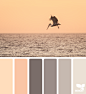 { creature color } image via: @amandarimmerphotography