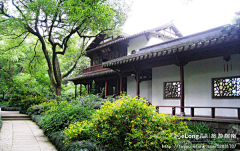 williamzhou92采集到杭州植物园---杭州人的