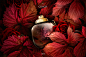 COACH THE FRAGRANCE : The first work in a series devoted to perfume. The idea is to demonstrate the components of the perfume.Первая работа в серии, посвященной ароматам духов. В основе идеи - наглядно показать составляющие аромата. 