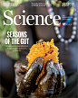 Science封面：肠道菌群随饮食而变