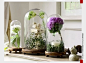  美克美家欧式花瓶客厅装饰品摆件 实木底座透明玻璃罩 