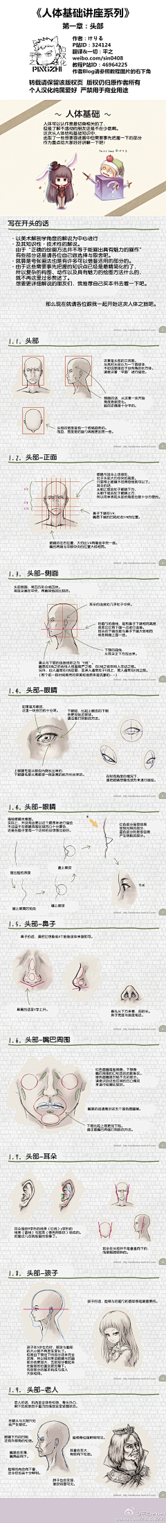 无影歌采集到人体结构透视教程