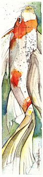 Koi : Koi loosely depicted with watercolor.