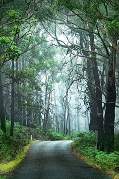 绿茶馨香采集到一路美景