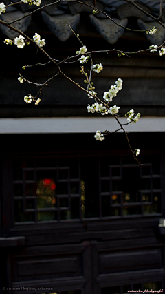 honghui采集到柳暗重门，花深小院