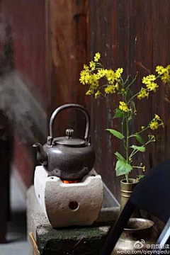 茶汤夫人采集到花艺