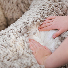 q7Itf采集到暖感：羊毛+羊绒