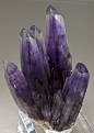 ifuckingloveminerals:

Amethyst 
Amatitlán Mine, Amatitlán, Mun. de Zumpango del Rio, Guerrero, Mexico
