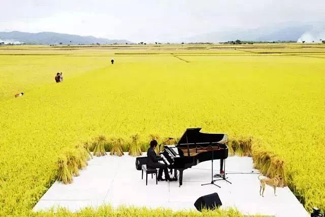 一场稻田音乐会，让这个乡村轰动了全台湾！...