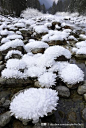 你是否和我一样❉等待着那场不会再来的雪