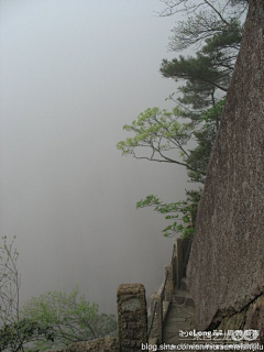 szteo1采集到雾蒙蒙的黄山 青城山, 