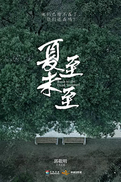 深圳蚂蚁网络网站建设采集到电影海报设计