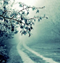 深冬时刻，静谧的小路，雾做的幻纱，梦中的你。