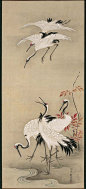 Cranes 群鶴図.  Japanese Edo period.  Kano Tanboku (Japanese, 1760–1832)