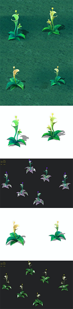 飞鸟ltt采集到植物  奇幻  魔幻