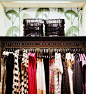 Retail Store Design - Palm-frond wallpaper above a rack of kate spade new york clothing