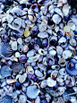 Love shells