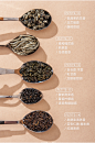 茶饮 包装【PETITE入门款】五种风味原叶袋泡组合款 生涩khyrse 5包入-淘宝网