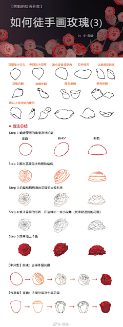 倒萨大多数采集到绘画教程