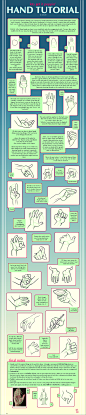 Hand_tutorial_by_alexds1.png (1000×4826)