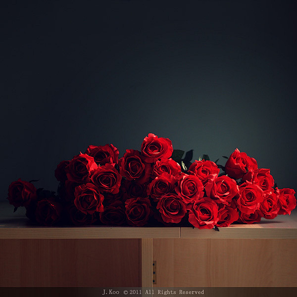 新年愿望：送亲爱的很多玫瑰