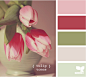 Design Seeds®: For All Who Love Color